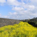 하도별방진 이미지