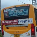 도곡15리 티스토리