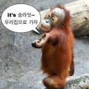 Jeon-star