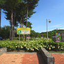 강당말공원 이미지