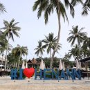 자유안경 | 필리핀 보홀 자유여행 육상투어 초콜릿힐 안경원숭이 헤난리조트 총정리