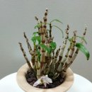 세류로 이미지