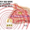 인간학살 코로나 백신 반대 의학박사 자살 생명을구하고 경제를 살리는 코고리물질 이미지