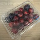 자두자두 | 우리마켓원 후무사자두, 신맛 없는 여름 왕자두 내돈내산 솔직후기(보관법 팁)