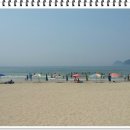 송정해수욕장번영회