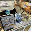 스테이 템포(stay tempo) 이미지