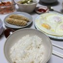 하이앤드 피티팟 네이버블로그