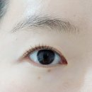 솔깨비 | 등촌역 속눈썹펌 자연스럽게 예뻐지는 법 엘리안뷰티 후기