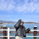 포항시북구67 | #10 포항 여행 다녀온 후기, 감성 코스 제대로 즐기고 온 날✨