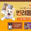 카페바라봄 이미지