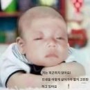 빈이랑은이랑 | 생카 준비 후기...