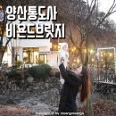 비욘드브릿지 이미지
