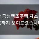 금성전자 이미지