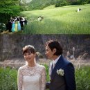 💐 함안 청보리 작약축제 다녀왔어요! 청보리와 작약꽃 천국🌸