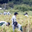 제31사단 503여단 이미지