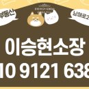 자인약국 이미지