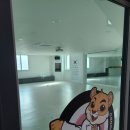 장성태권도장 이미지