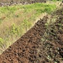 정주농장 이미지