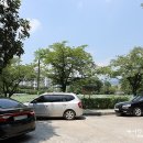 관곡지 | 경북 김천 연화지 연꽃 / 봉황대 풍경