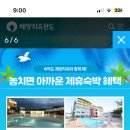 완도 파인비치 호텔 네이버블로그