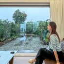 스테이빌레하임 이미지