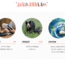 (주)영유통 이미지