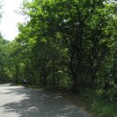 분당-300 이미지