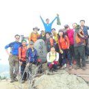 비금도횟집 이미지