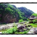 정선파인케어빌 이미지