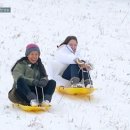 효리네 민박 이미지