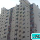 삼산로 156번길 이미지