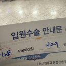 옴 므 | 20대 갑상선 반절제 로봇수술 후기