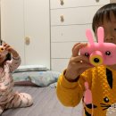 오감만족동태찌개 이미지