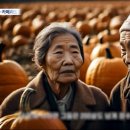 서준석농장 이미지