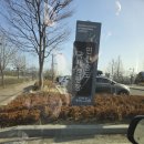 인천송도국제캠핑장 | 아들과 단둘이 인천 송도 국제 캠핑장 카라반 1박2일 후기 (부자 캠핑 제대로 다녀온 기록)