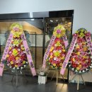 테라약국 이미지