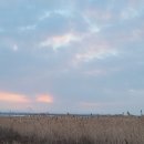 용인대 일출 태권도장 이미지