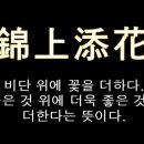 비단위의꽃