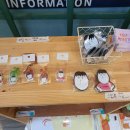 훈문정훈