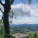 성흥산 솔바람길 이미지