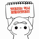 쌍둥이밧데리 이미지