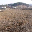 로이농장2 이미지