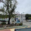 중앙로지선 이미지