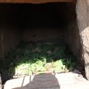 장승리 고분군 이미지