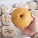 배들농장 이미지