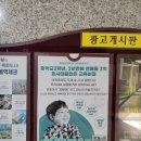 하이가설