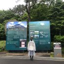 면목동-064 | 제주 한라산 성판악 코스로 백록담 보고 '등정 인증서' 발급 후기!