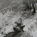 오리나들이 이미지