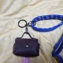 살랑가협동조합 이미지