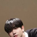 데이즈안
